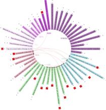 Exemple pointant une diminution du taux de consommation d'énergie des véhicules, mode automobile, relations de causalité au niveau hiérarchique 2.